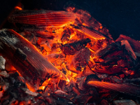 Biocombustibles y Transporte Sostenible