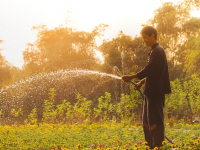 Introducción a la Limnología