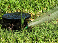 Dinámica de los Humedales