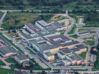 Apoyo Psicológico a Pacientes Oncológicos: Manejo de Emociones y Estrategias de Afrontamiento