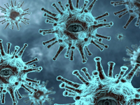 Parasitología Veterinaria