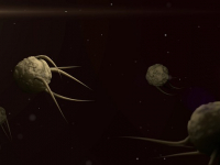 Parasitología Ambiental