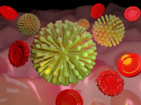 Microbiología de Alimentos