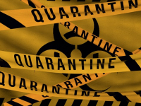 Bioinformática en Virología