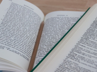 Traducción Audiovisual: Subtitulación y Doblaje