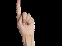 Interpretación telefónica y por videoconferencia