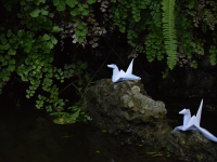 Origami modular avanzado