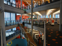 Archivística Forense