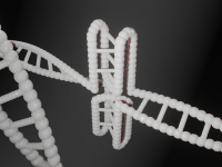 Aplicaciones Clínicas de la Metabolómica