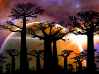 Astronomía Básica: Descubriendo el Universo