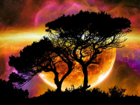 Astrobiología: La Búsqueda de Vida en el Universo