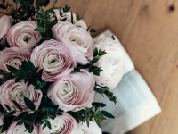 Ética y Moral en la Filosofía