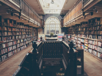 Simulación Computacional en Biomatemática