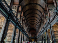 Cienciometría aplicada a la gestión de la investigación