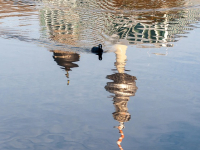 Semiótica en el cine y la televisión