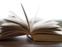 Dialectología y traducción