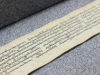 Sonidos marinos: Bioacústica en los océanos