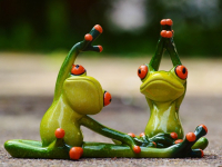 Radiobiología y Biofísica Médica