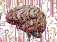 Neuroquímica aplicada a la psicología