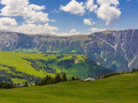 Neuropsicolingüística: El cerebro y el lenguaje