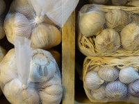 Introducción a la Nanomedicina