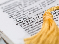 Fitolitos en arqueobotánica