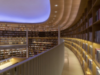 Arqueozoología en la Prehistoria