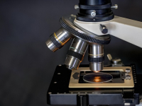 Introducción a la Microscopía