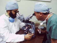 Microscopía en Ciencias de los Materiales