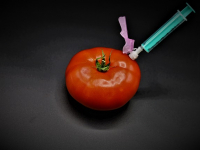 Citogenética y Medicina Forense