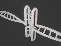 Citogenética y Terapia Génica