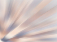 Diseño Web: User Experience (UX) y User Interface (UI)