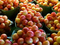 Liderazgo efectivo para equipos de ventas