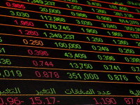 Gestión de Startups