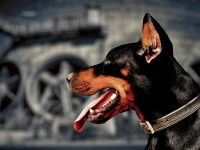 Inversión en bienes raíces para principiantes