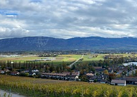 Introducción a la viticultura