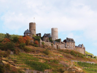 Enología básica para viticultores