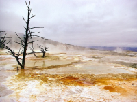 Geotermia y Sostenibilidad Energética