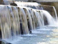 Limnología aplicada a la gestión del agua