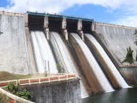 Biología acuática: fauna y flora de ecosistemas acuáticos