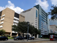 Nutrición infantil: de la lactancia a la alimentación sólida