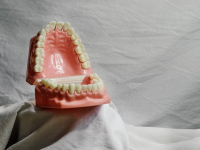 Ortodoncia: Principios y Procedimientos