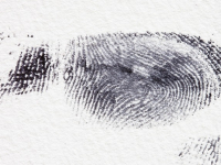 Derecho Laboral y Seguridad Social