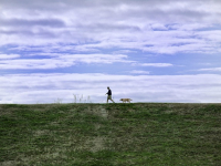 Liderazgo Ético y Responsable