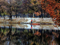 Recursos Naturales y Sostenibilidad