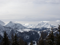 Estrategias de cadena de suministro sostenible