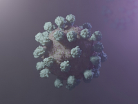 Microbiología Clínica: Aspectos Prácticos