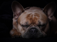 Calidad en el Servicio al Cliente