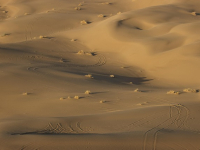 Calidad Total en la Organización