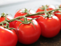 Organización y productividad en el hogar